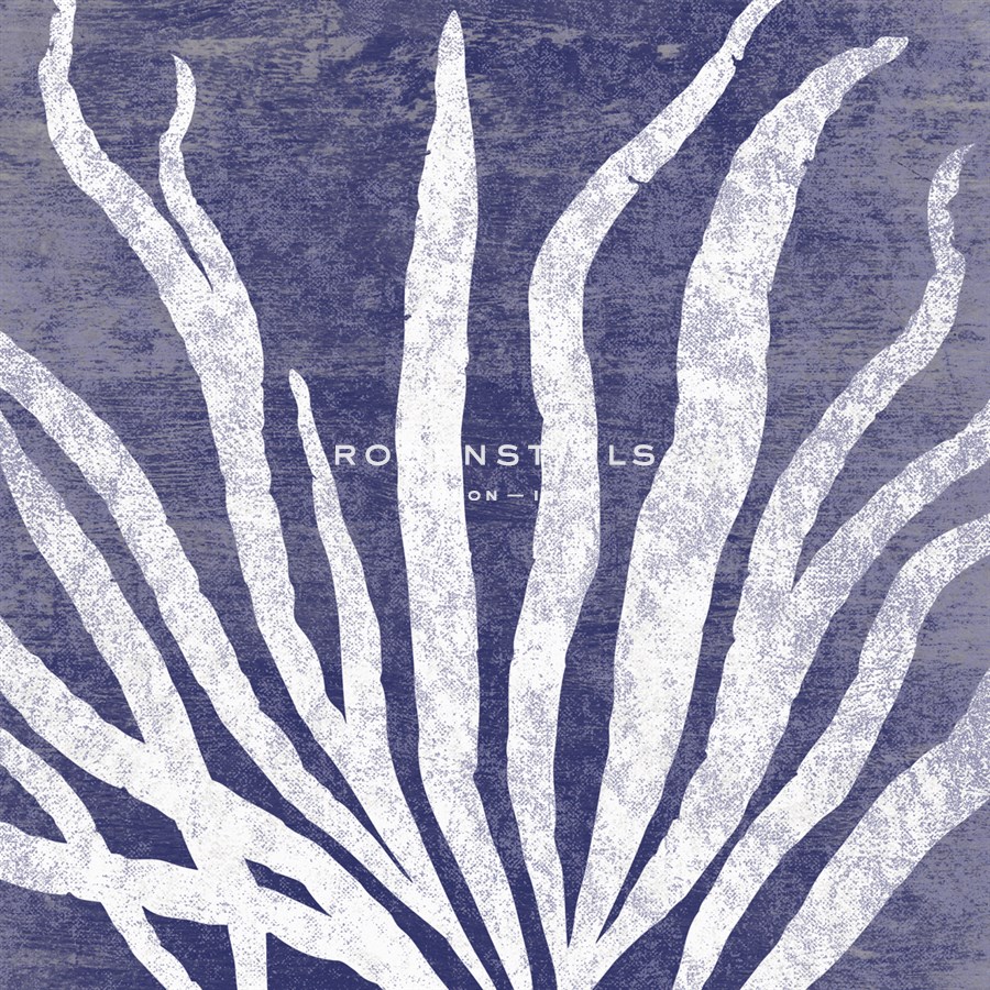 Reef IV - Maria Mendez