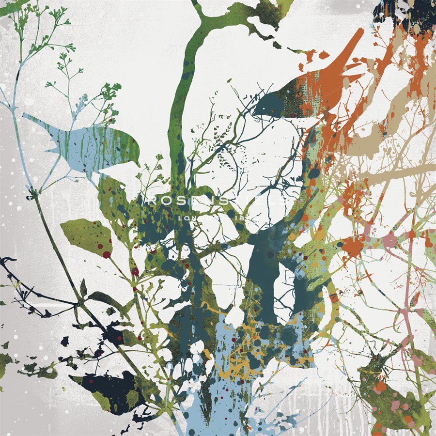Painted Birds II - Ken Hurd