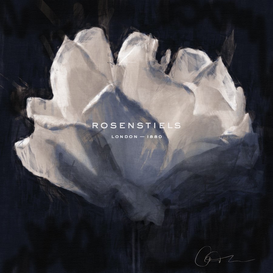 Rose Sketch - Malcolm Sanders