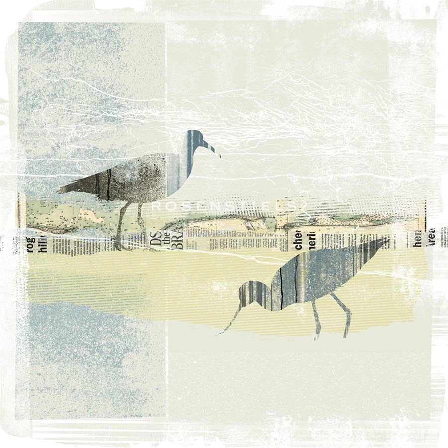 Coastal Birds I - Ken Hurd