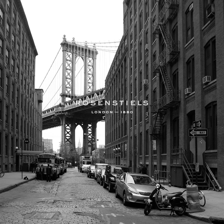 Bridge Vista - Tony Koukos