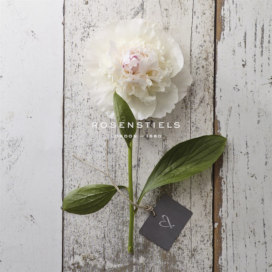 Sent with Love II - Camille Soulayrol