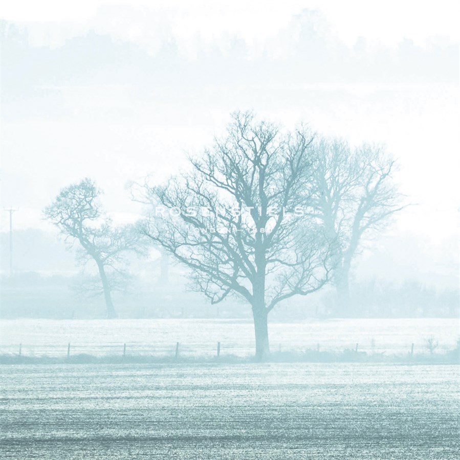 Misty Meadow I - Ella Lancaster