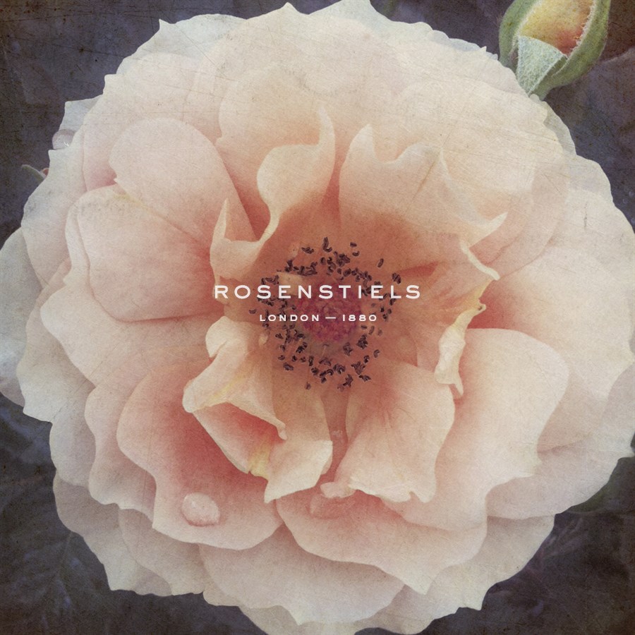 Coral Petals - Collezione Botanica