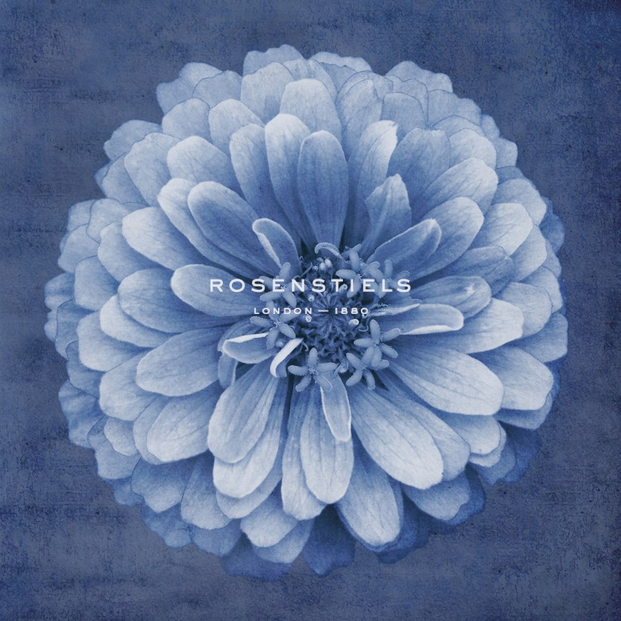 Floral Imprint IV - Collezione Botanica