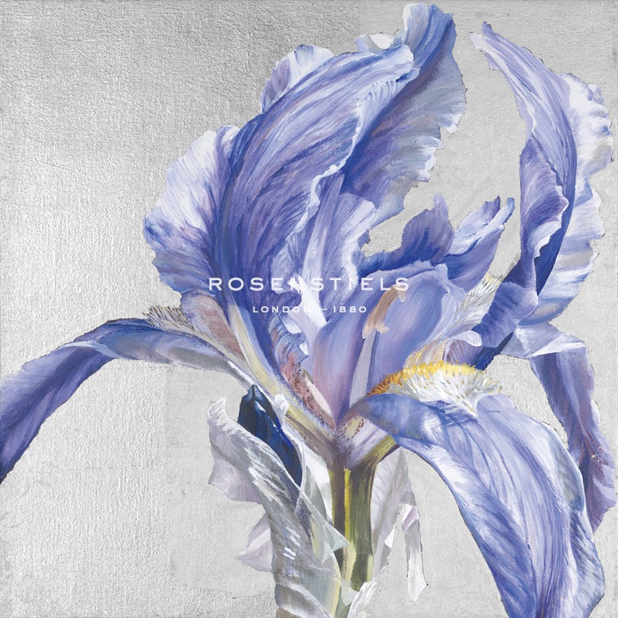 Iris in Argent - Sarah Caswell