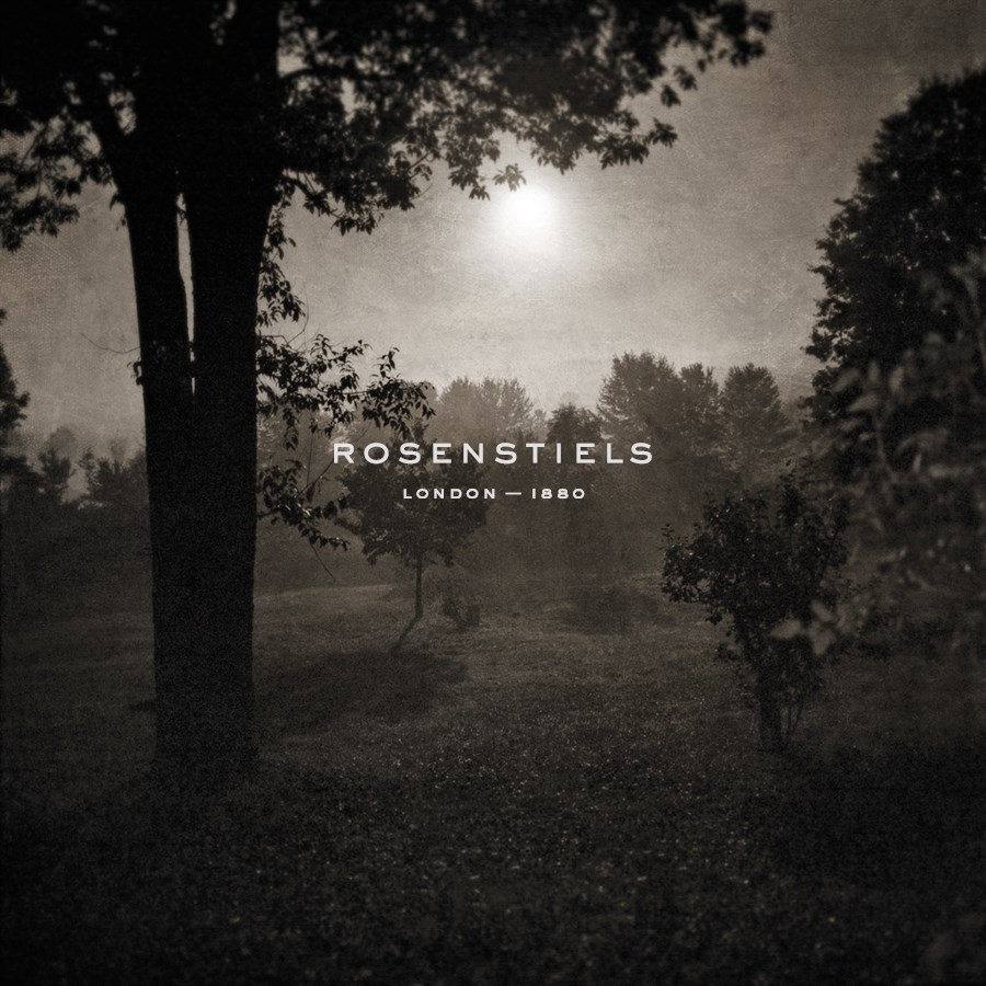 Moonscape Trees - Pete Kelly