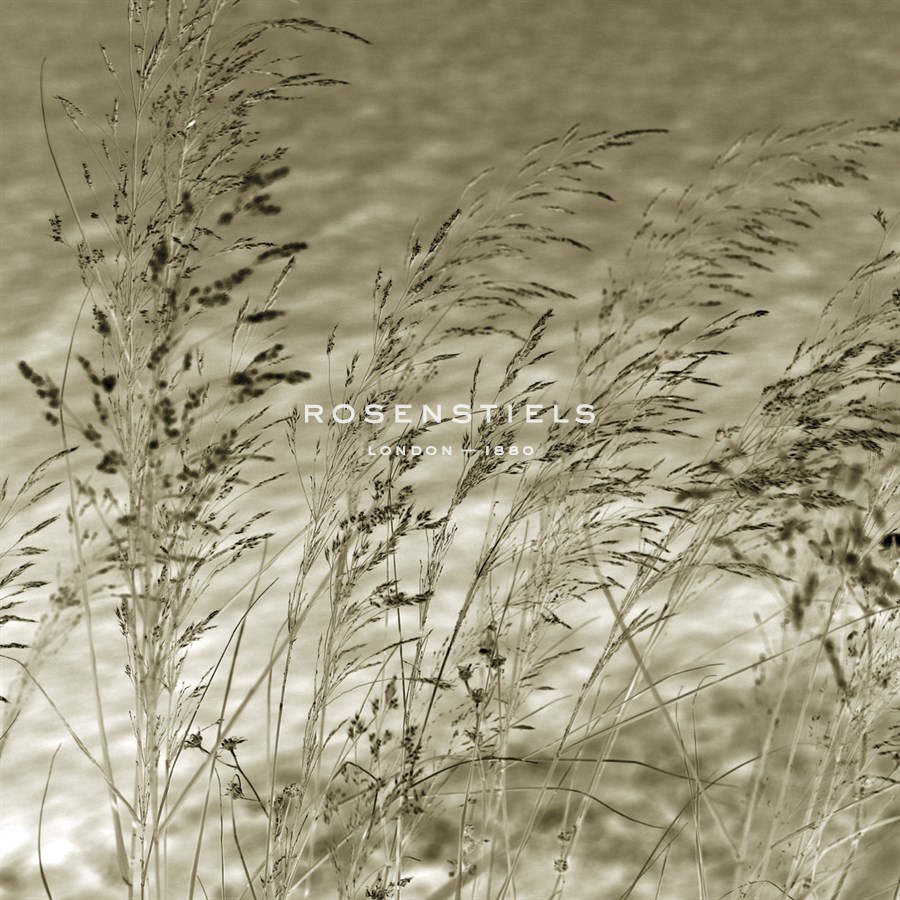 Patmos Organics I - Tony Koukos