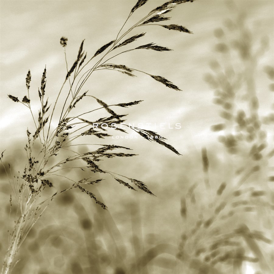 Patmos Organics IV - Tony Koukos