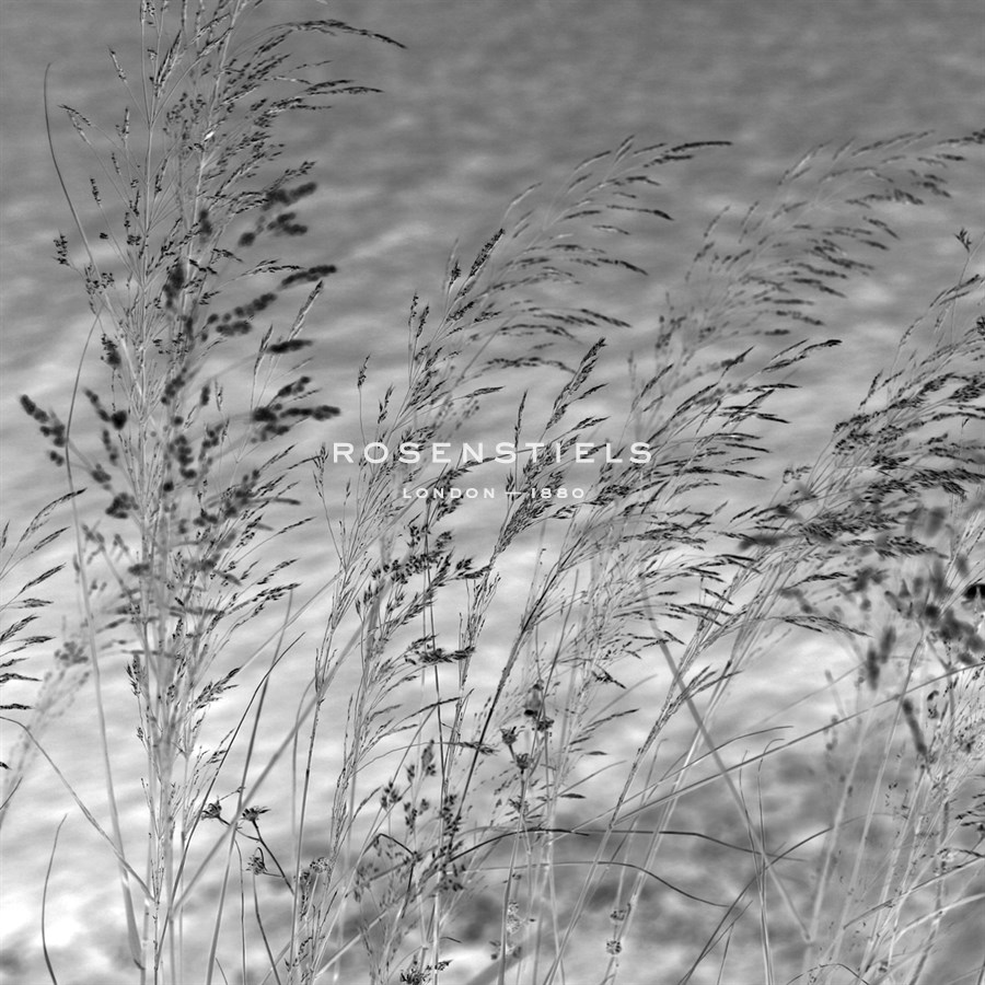 Patmos Grasses - Tony Koukos