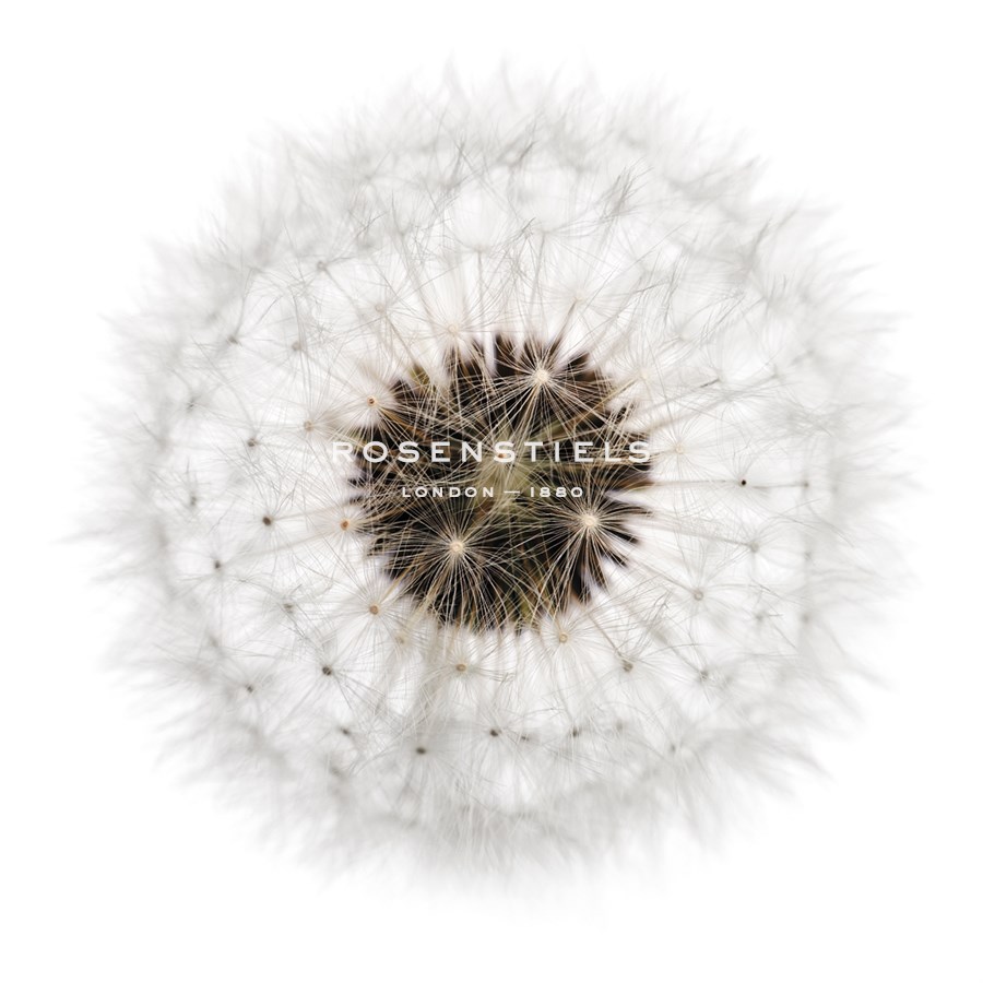 Seed Journey II - James Guilliam