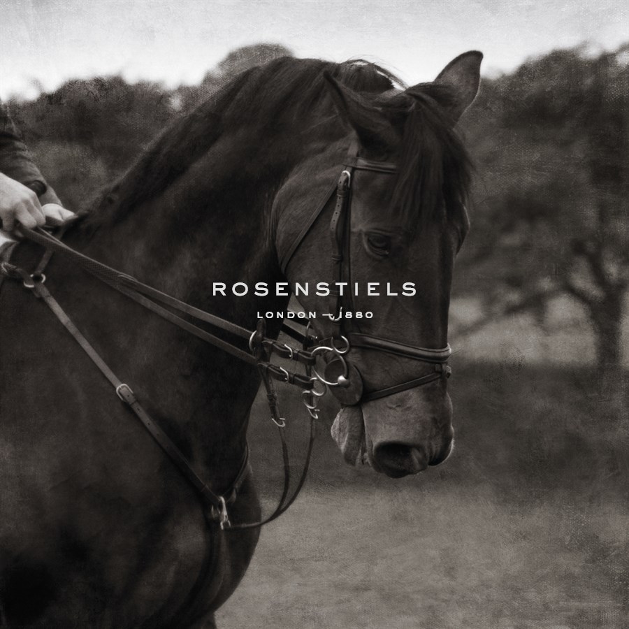 Dressage - The Collection - Pete Kelly