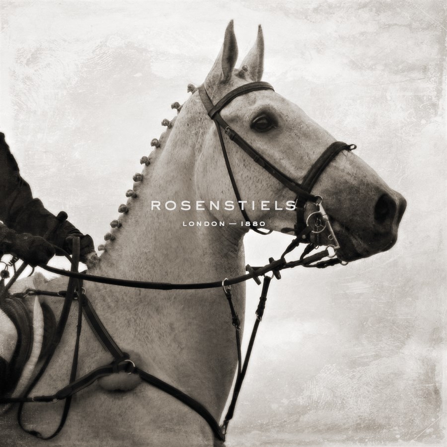 Dressage - The Counter - Pete Kelly