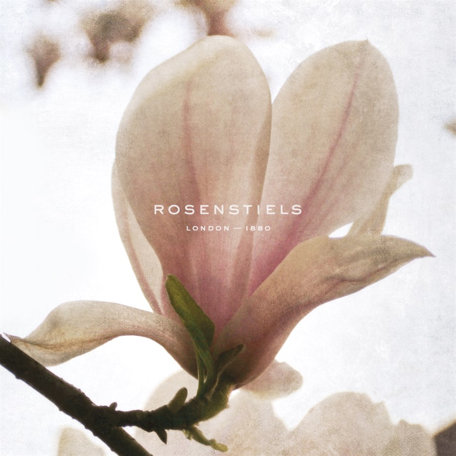 Magnolia Dawn - Pete Kelly