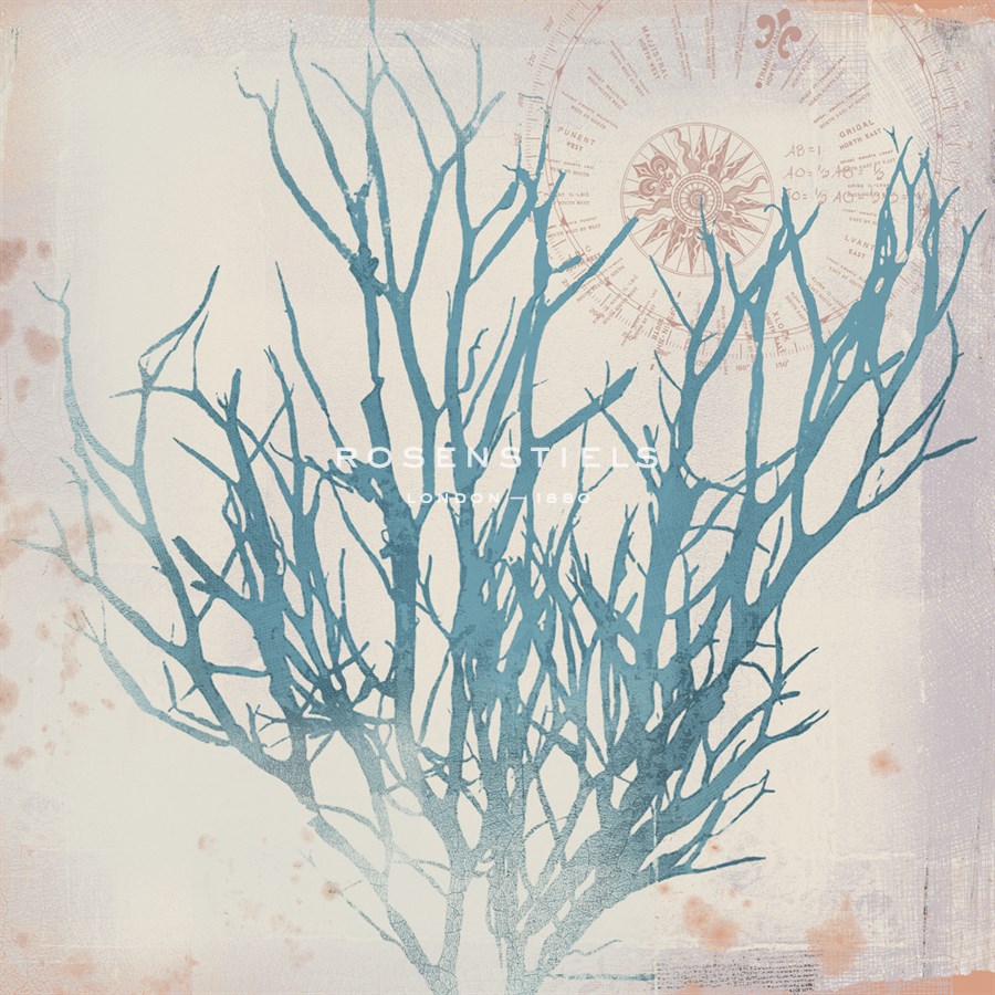Oceanus Botanica - Ken Hurd