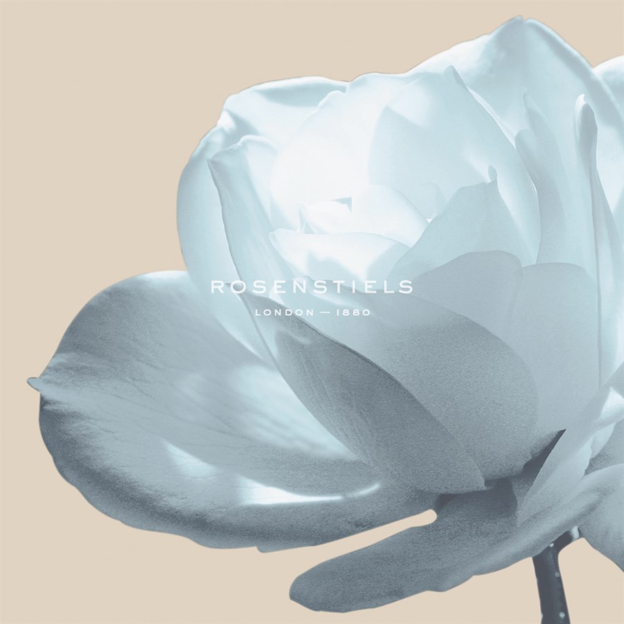 Blue Ice Rose - Malcolm Sanders