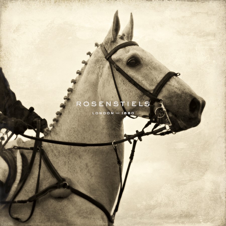 Vintage Equestrian - Counter - Pete Kelly