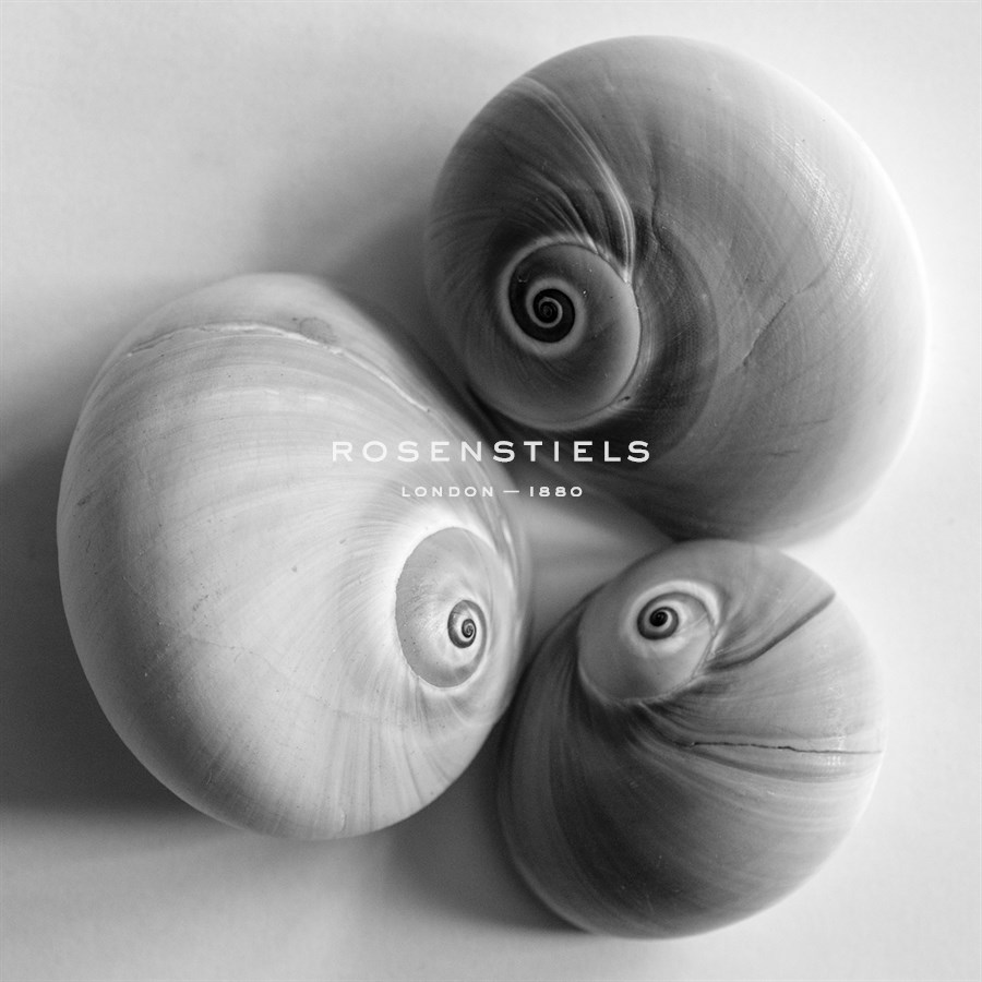 Moon Sea Shell - John Harper