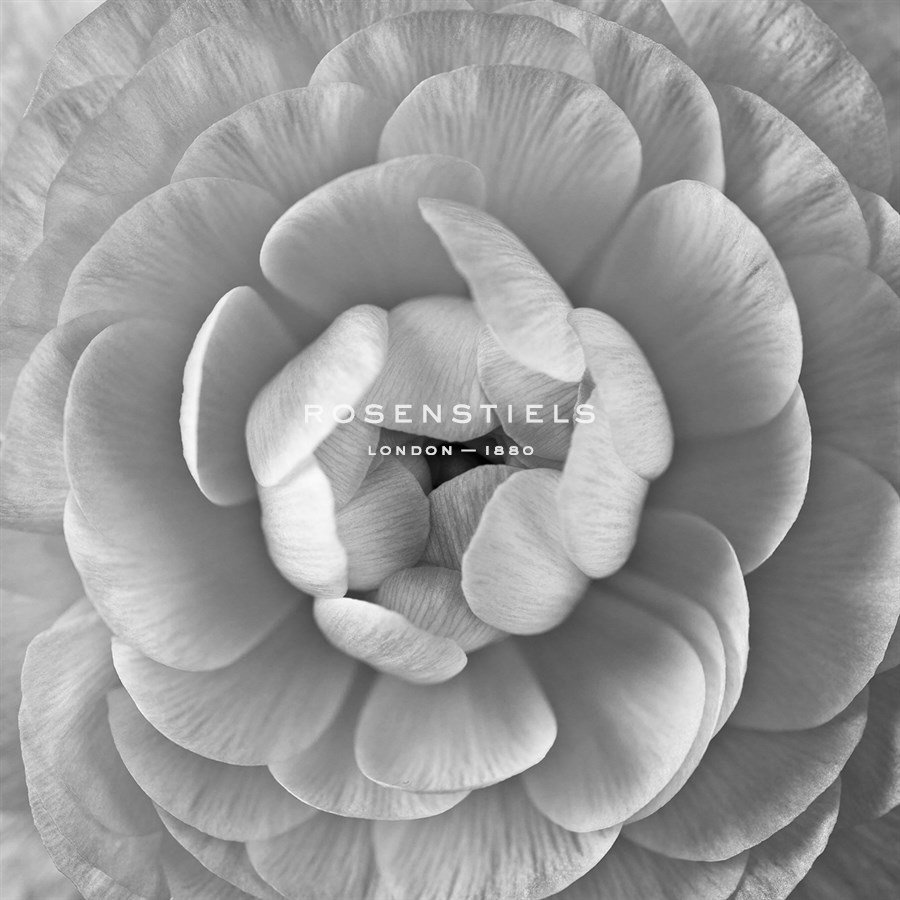 Ranunculus Centre - Assaf Frank