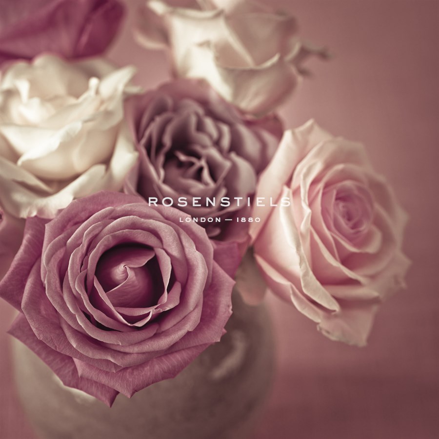 Bonica Rosa - Assaf Frank