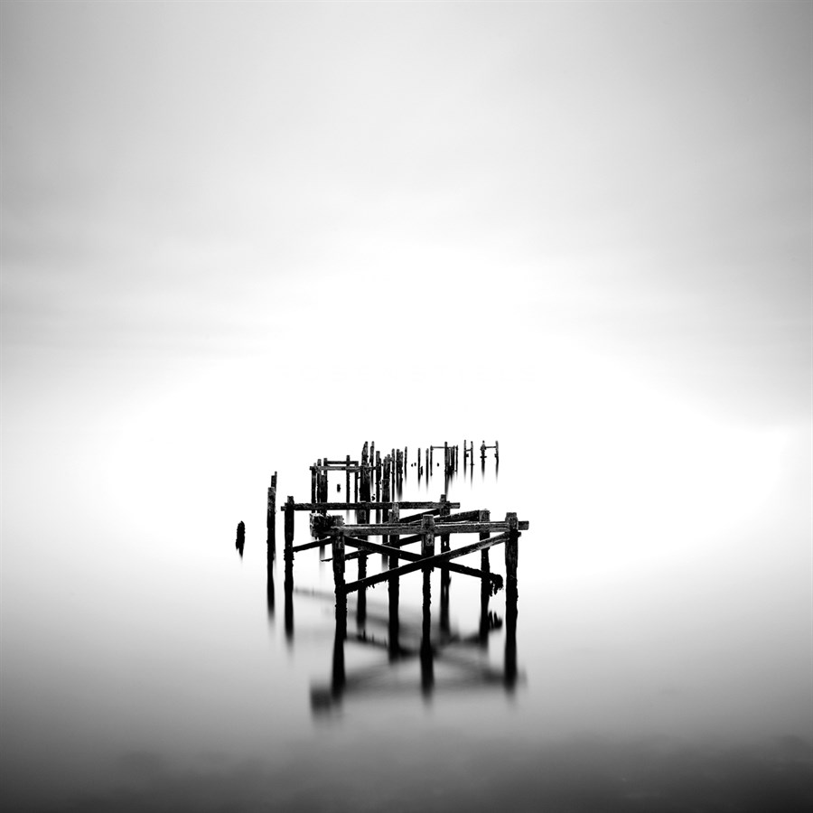 Vanish - Lee Frost