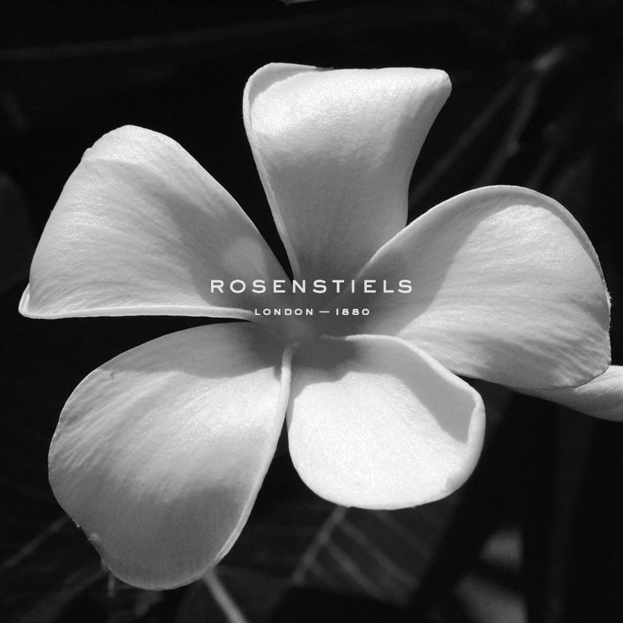 Tropical Bloom II - Tony Koukos