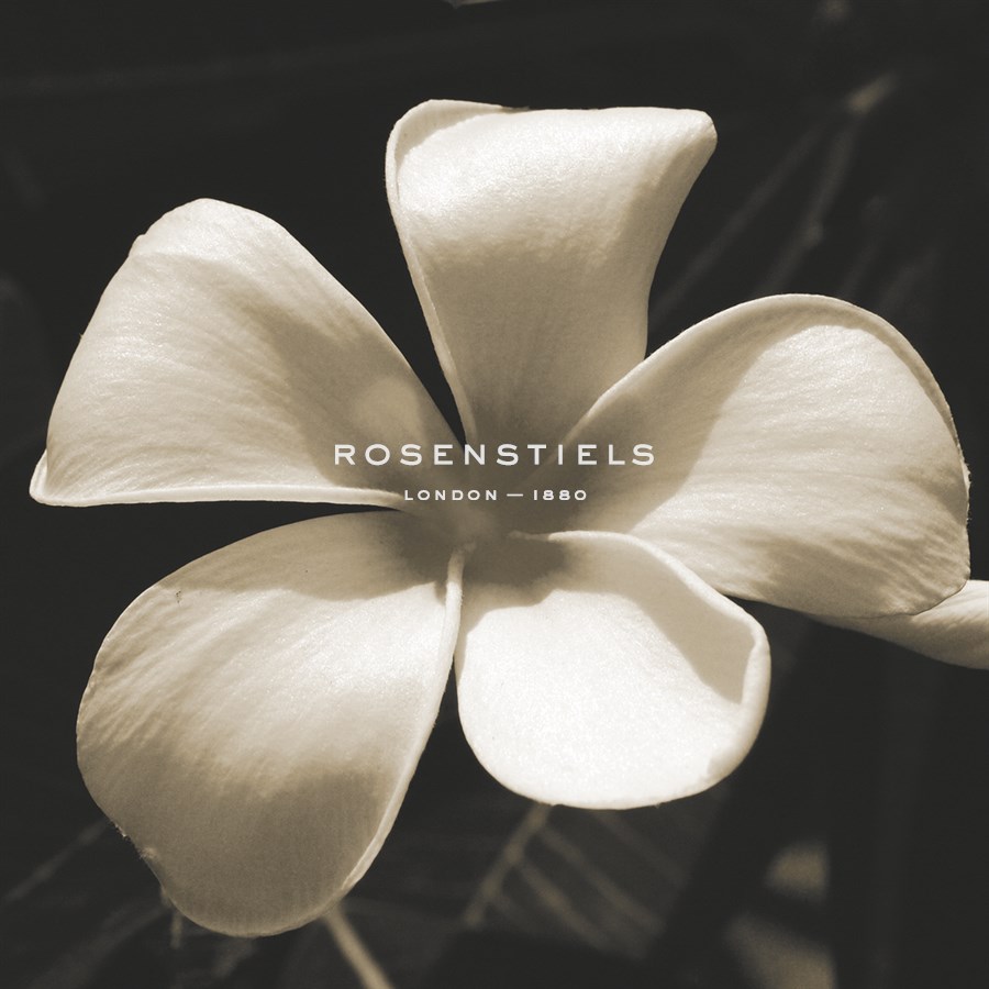 Frangipani Twilight II - Tony Koukos