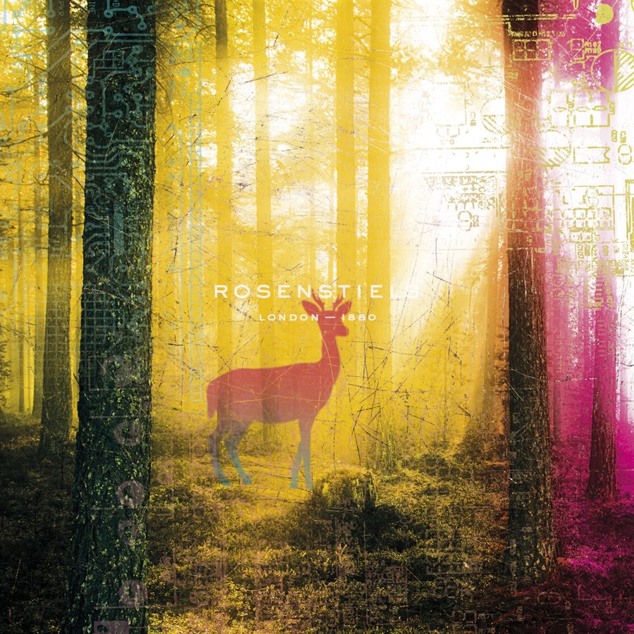 Radiant Light II - Tom Frazier