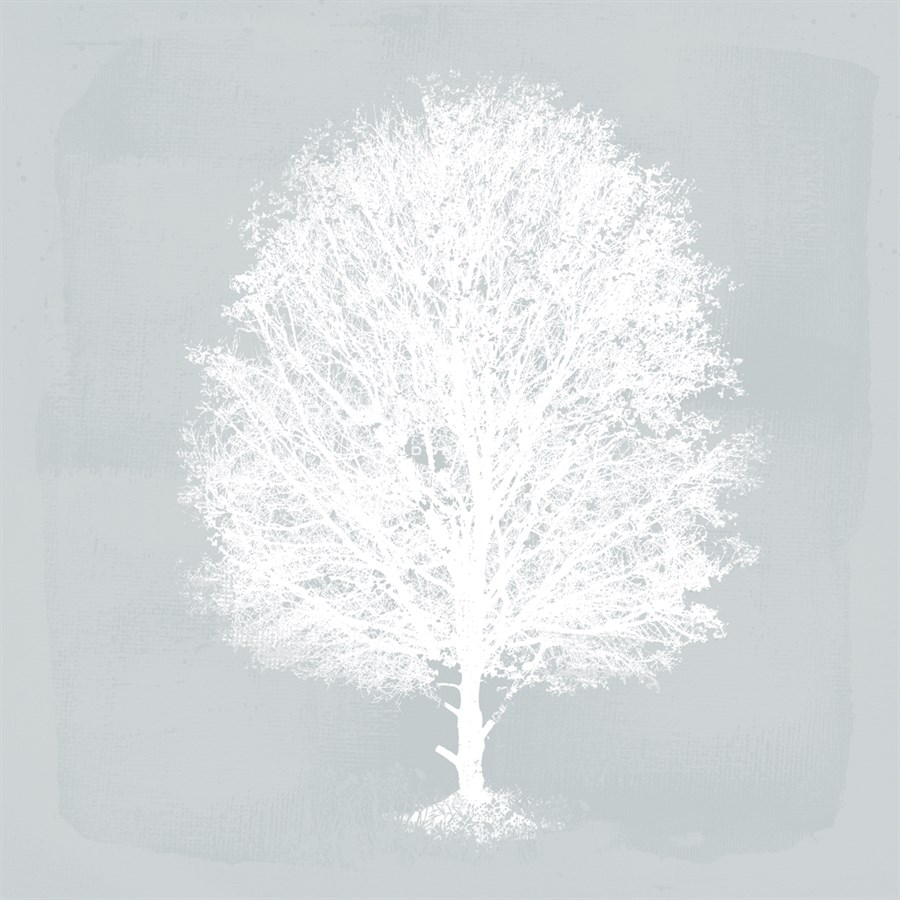 Pastel Forest II - Ken Hurd