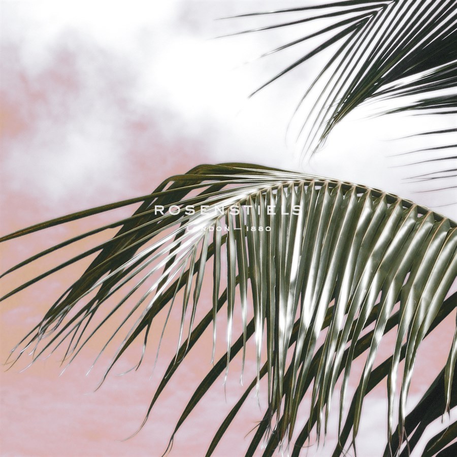 Palm Frond I - Malcolm Sanders