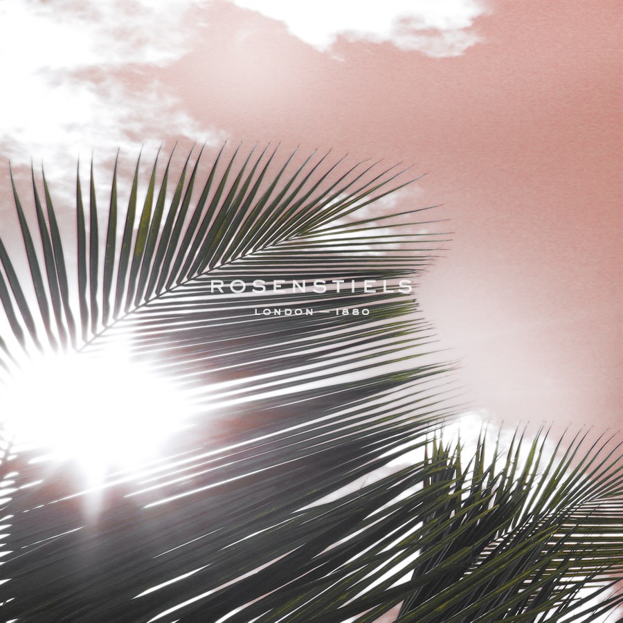 Palm Frond II - Malcolm Sanders