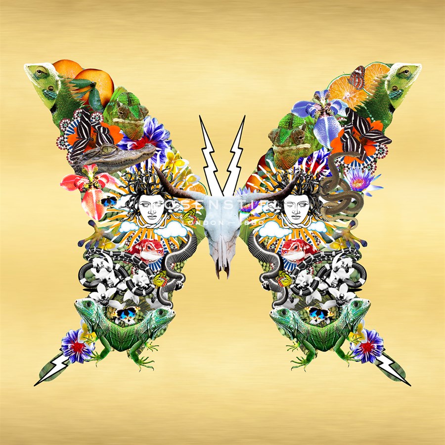 Fantasy World - Butterfly - Amy Shaw