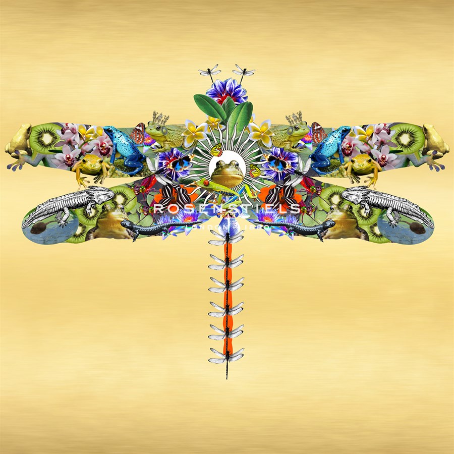 Fantasy World - Dragonfly - Amy Shaw