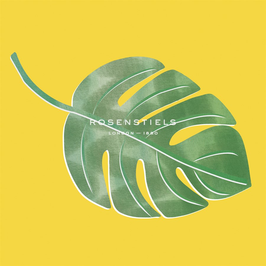 Hermosillo Palm - Max Carter