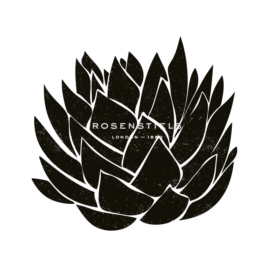 Tucson Aloe - Max Carter