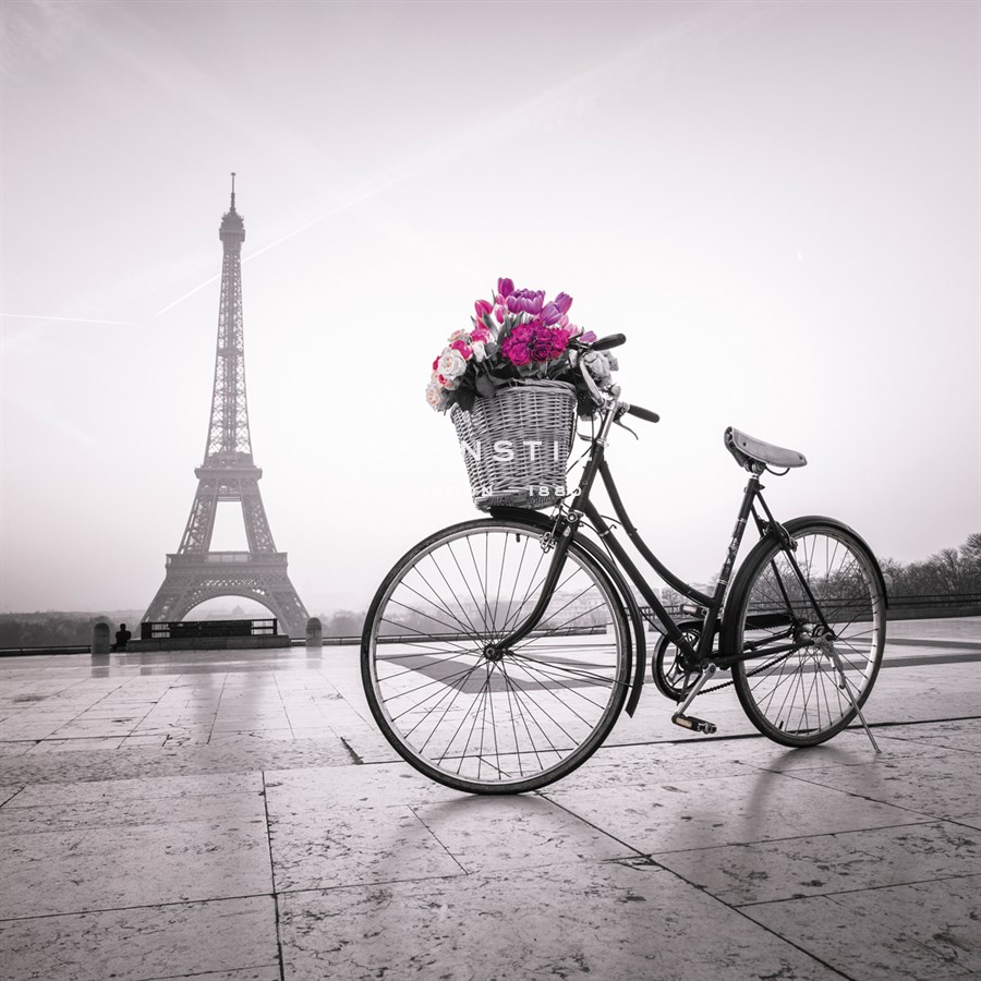 Parisian Chic - Assaf Frank