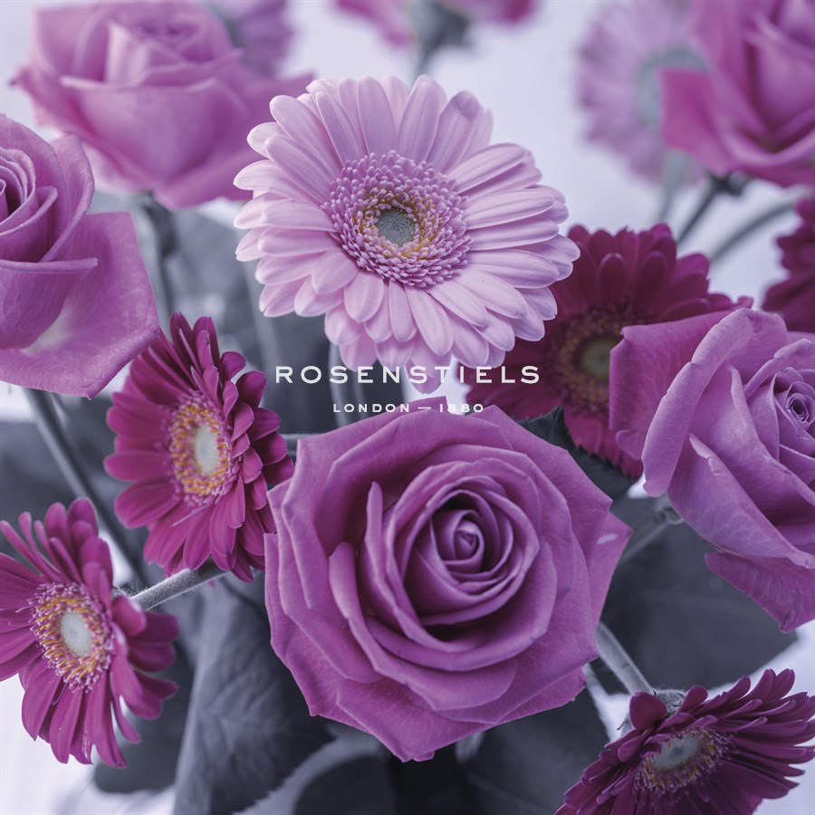 Rosy Posy - Assaf Frank