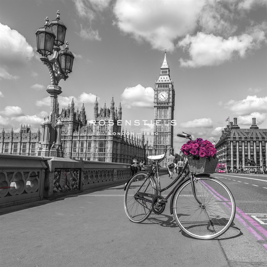 City Blooms - Assaf Frank