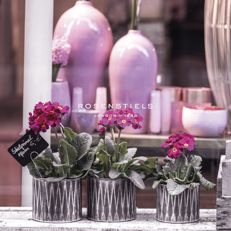 Posy Triplet - Assaf Frank