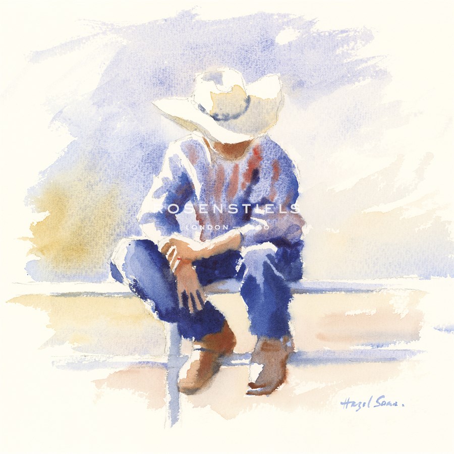 Sitting on the Fence - Hazel Soan