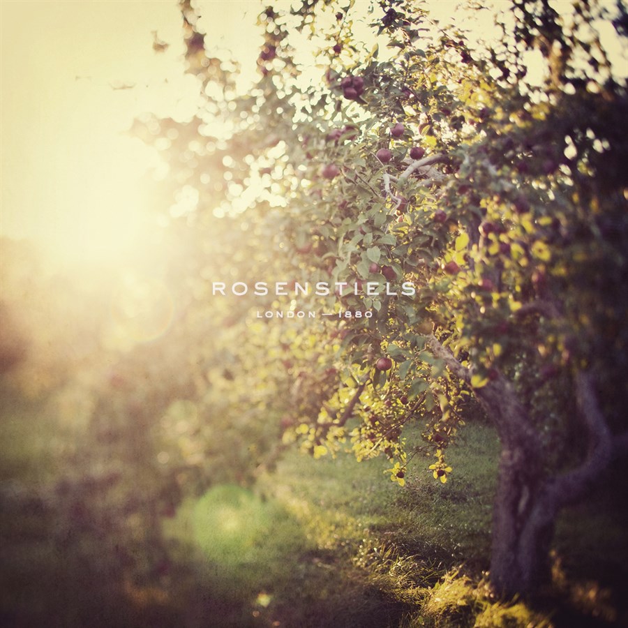 In the Orchard - Irene Suchocki