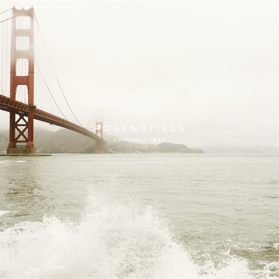 San Francisco Storm - Irene Suchocki