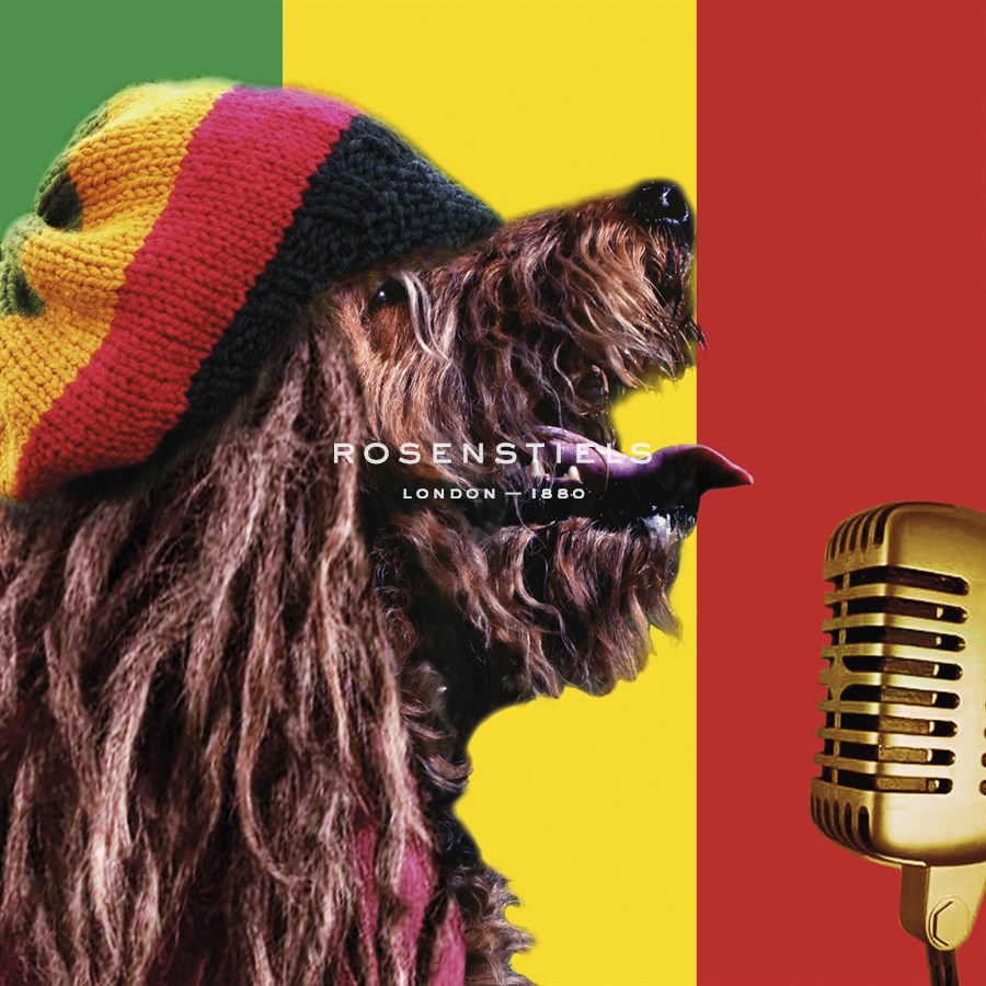 Dog Marley - Malcolm Sanders