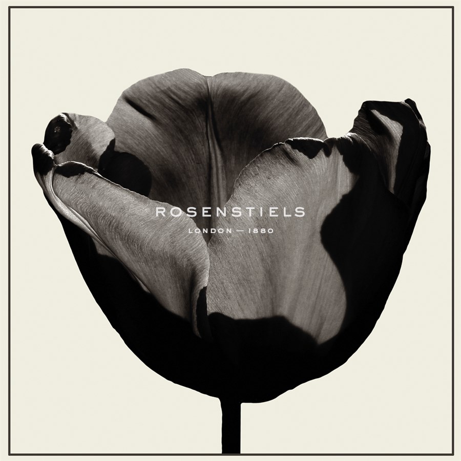 Basalt Focus - Malcolm Sanders