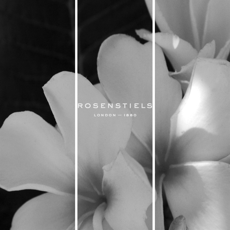 Tropic Bloom - Trio - Tony Koukos
