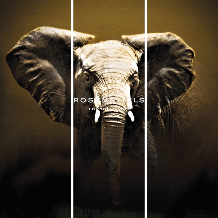 On Safari - Trio - Bobbie Goodrich
