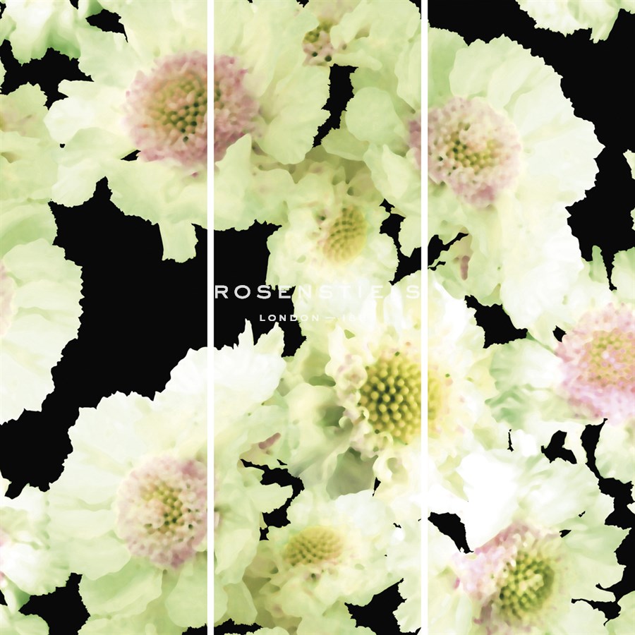 Night Flower - Trio - Sukhanlee