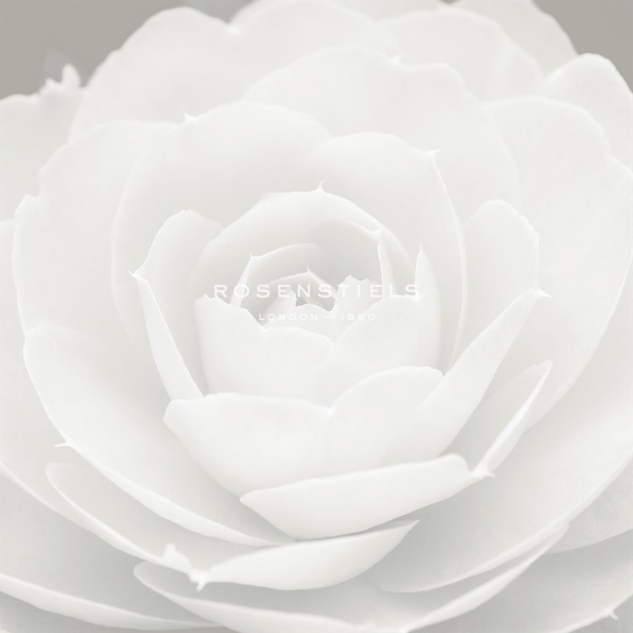 Camellia Frost - Ella Lancaster
