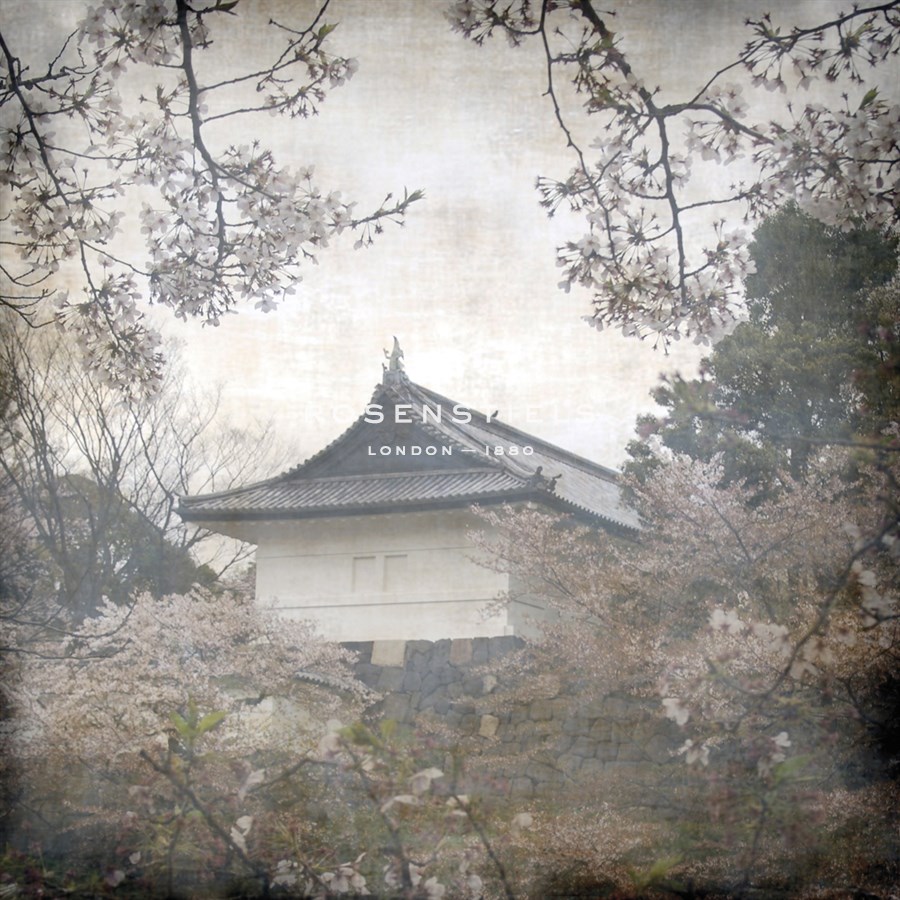 Tokyo Blossoms - Tony Koukos