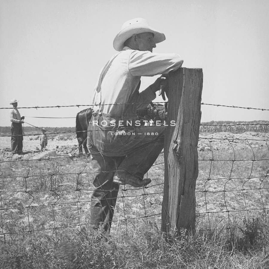 The Land is Mine - The Vintage Collection